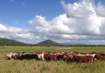 Henderson Park Farm Retreat Villa Yeppoon Exterior foto